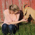 VertrauTier - Tiergestützte Ergotherapie und Intervention Willingen
